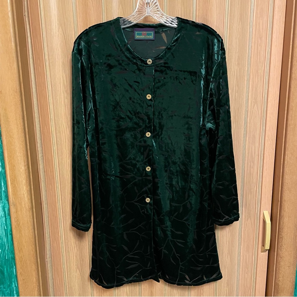 Vintage Velveteen Green Vine Pattern (Sheer) Tunic Blouse / Mini Dress
